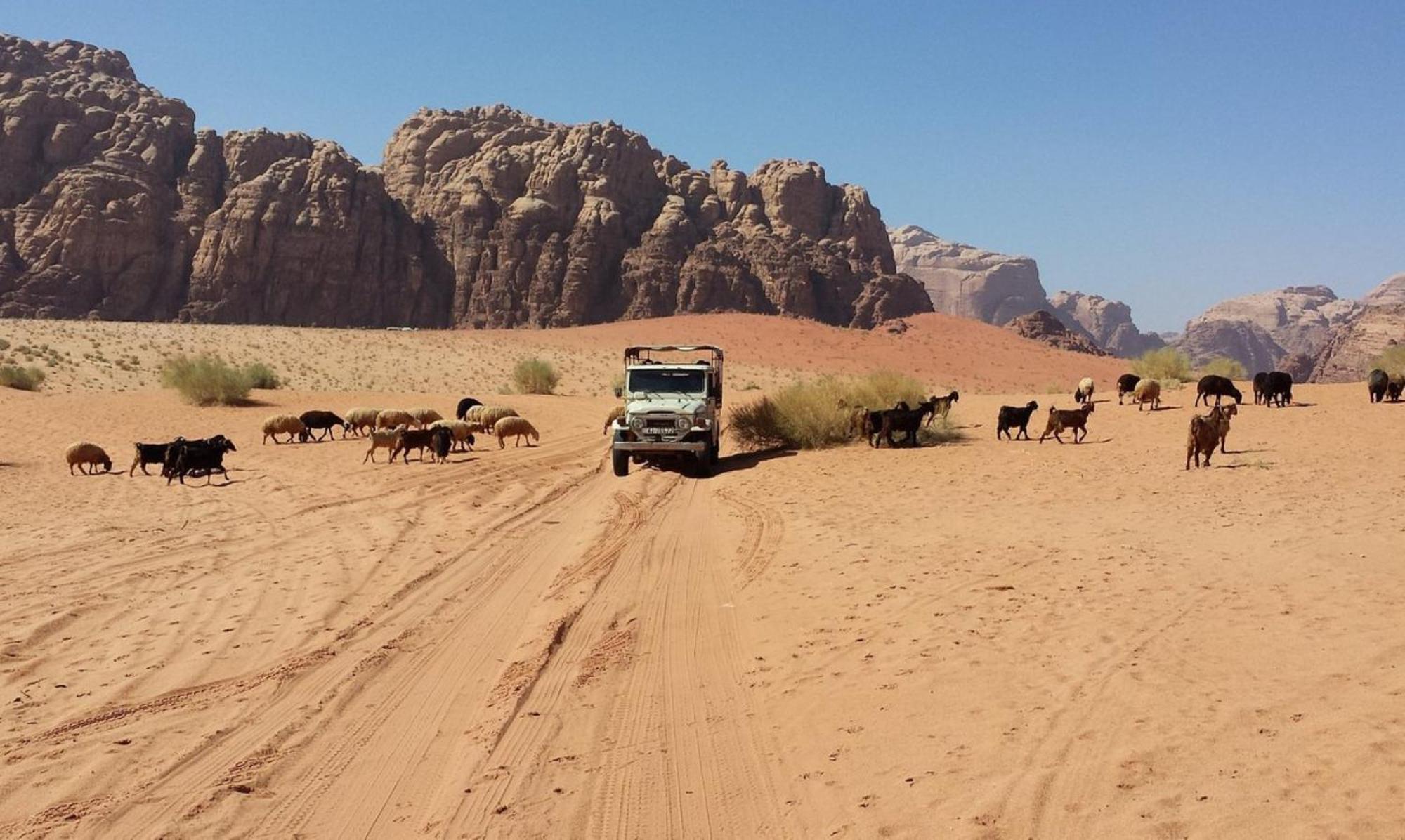 Authentic Bedouin Camp Wadi Rum Exteriér fotografie